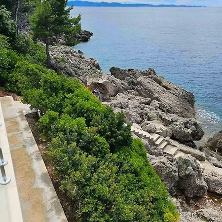 Seaside Family Friendly House With A Swimming Pool Dingac - Borak, Peljesac - 24604