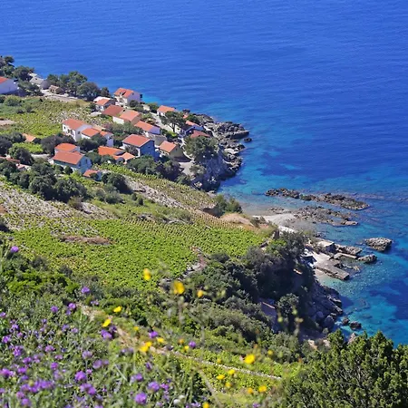 Seaside Family Friendly House With A Swimming Pool Dingac - Borak, Peljesac - 24604 Potomje